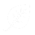 ddos免费测试